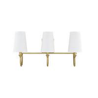 Cameron 3-Light Bathroom Vanity Light