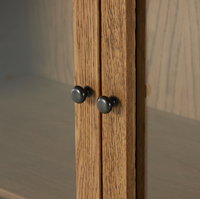 Miley Panel & Glass Door Cabinet