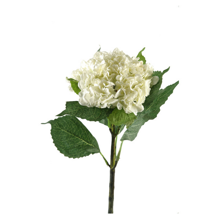 Hydrangea Stem - Cream