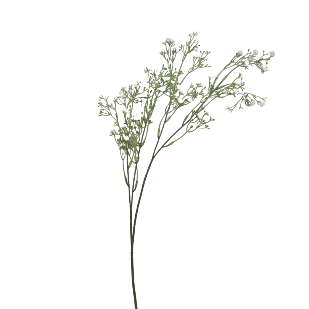 Baby's Breath Stem