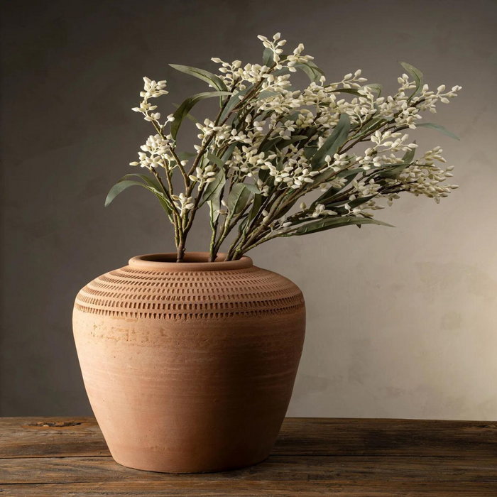 Flowering Eucalyptus Branch