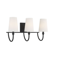 Cameron 3-Light Bathroom Vanity Light
