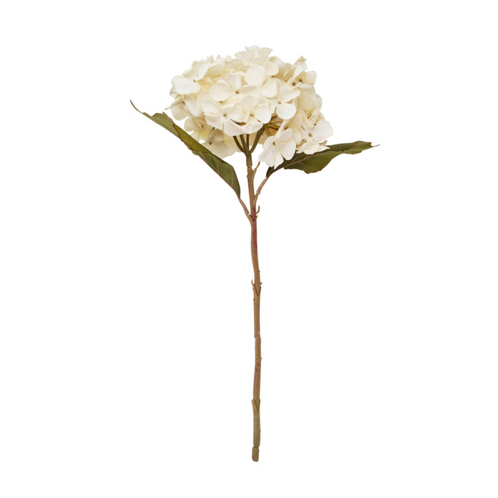 Hydrangea Branch