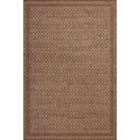 Merrick MER-08 Natural / Fiesta (Indoor/Outdoor Rug)