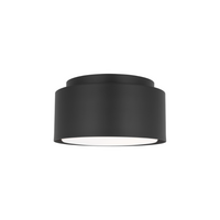 Dartmore Small Flush Mount