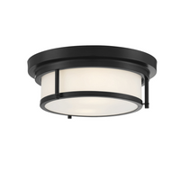 2-Light Flush Mount in Matte Black