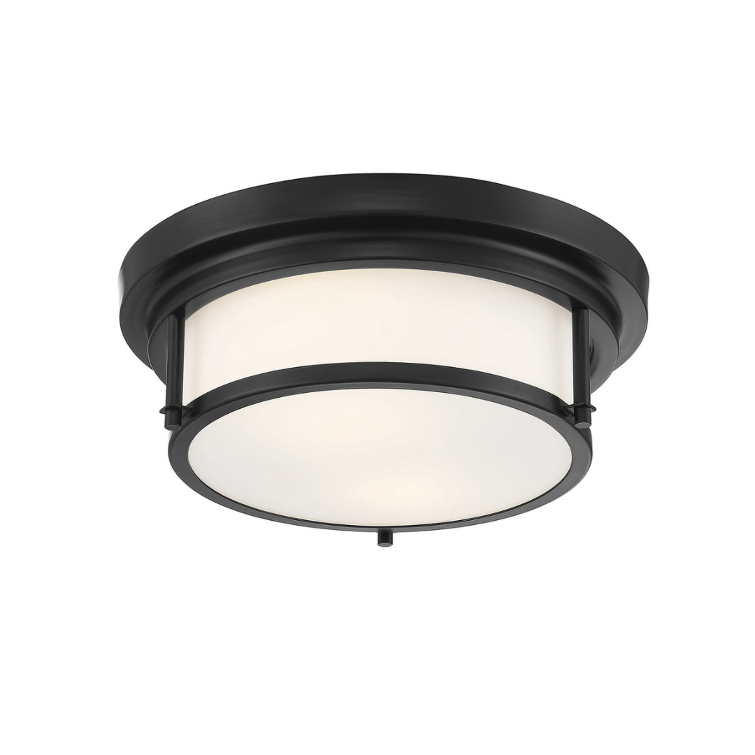 2-Light Flush Mount in Matte Black