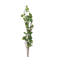 Green Leaves