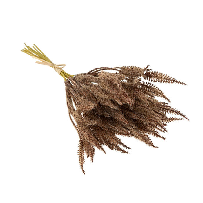 Mini Pampas Grass Bundle - Brown