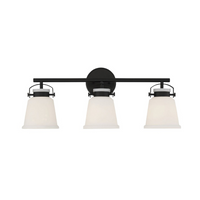 Kaden 3-Light Bathroom Vanity Light