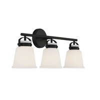 Kaden 3-Light Bathroom Vanity Light