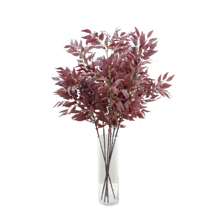 Leucothoe Stem