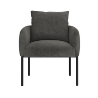 Petrie Accent Chair