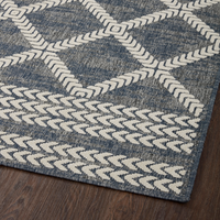 Rainier RAI-05 Denim / Ivory (Indoor/Outdoor Rug)