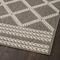Rainier RAI-05 Natural / Ivory (Indoor/Outdoor Rug)