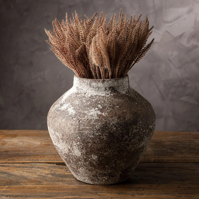 Mini Pampas Grass Bundle - Brown