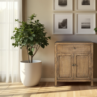 Alessandro Accent Cabinet