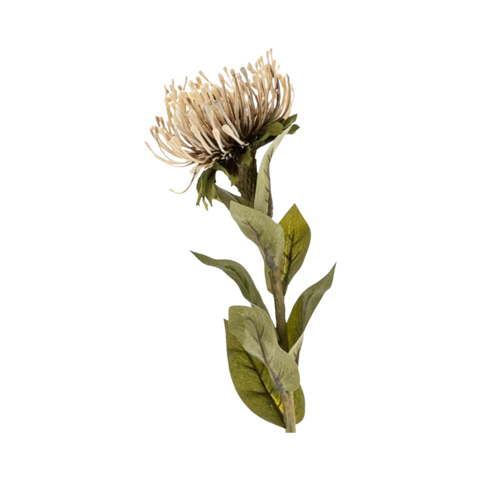 Pin Cushion Floral Stem - Natural