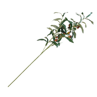 Olive Branch Stem