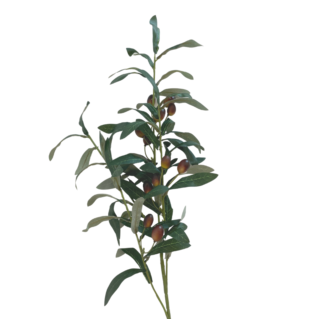 Olive Branch Stem