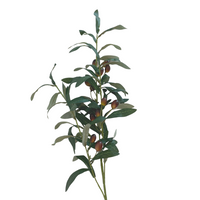 Olive Branch Stem