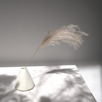 Long Cane Grey Dried Maiden Grass - Bunch of 8