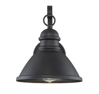1-Light Outdoor Wall Lantern Matte Black Finish