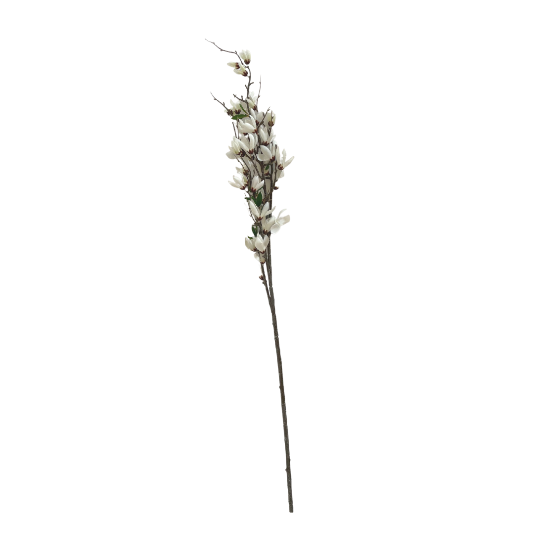 White Magnolia Branch
