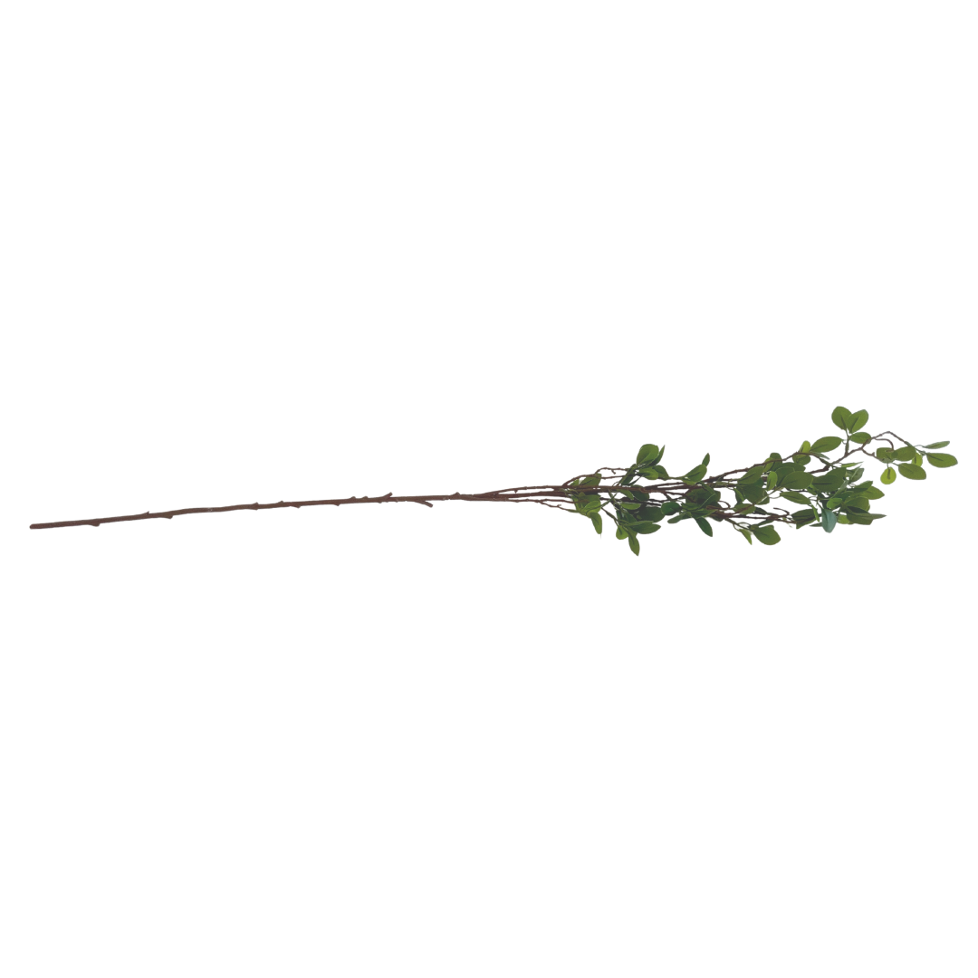 Green Leaves