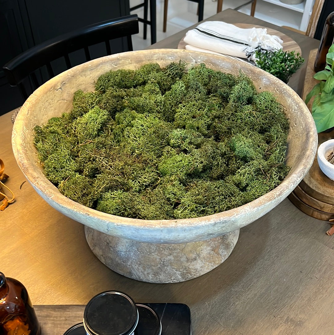 Saucer Planter