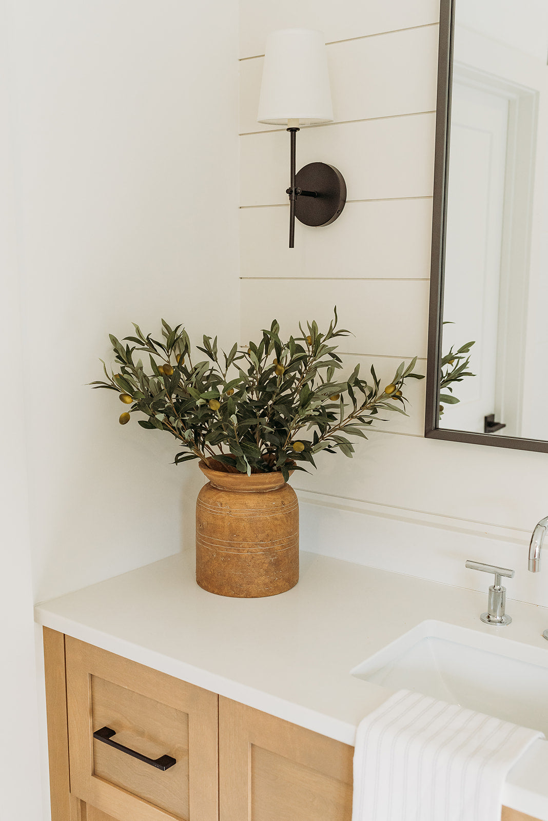Olive Branch Stem