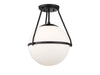 1 Light Ceiling Light