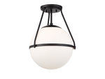 1 Light Ceiling Light