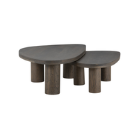 Zuri Nesting Coffee Table Set