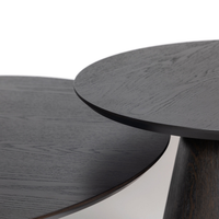 Frederick Nesting Coffee Table Set