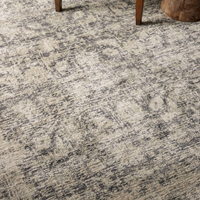 Alie (Amber Lewis × Loloi) ALE-05 Rug [Charcoal/Beige]