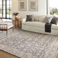 Alie (Amber Lewis × Loloi) ALE-05 Rug [Charcoal/Beige]