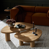 Zuri Nesting Coffee Table Set