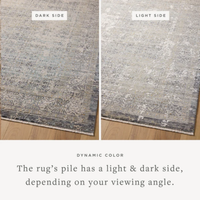 Alie (Amber Lewis × Loloi) ALE-04 Rug [Sky/Stone]