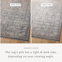 Alie (Amber Lewis × Loloi) ALE-03 Rug [Charcoal/Dove]