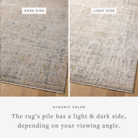 Alie (Amber Lewis × Loloi) ALE-02 Rug [Sand/Sky]