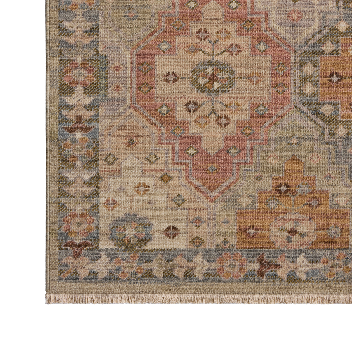 Reign REN-08 Rug [Sage/Fiesta]