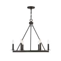6 Light Chandelier