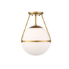 1 Light Ceiling Light