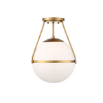 1 Light Ceiling Light