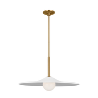 Endicott 24" Pendant