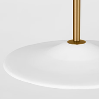 Endicott 24" Pendant