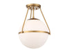 1 Light Ceiling Light