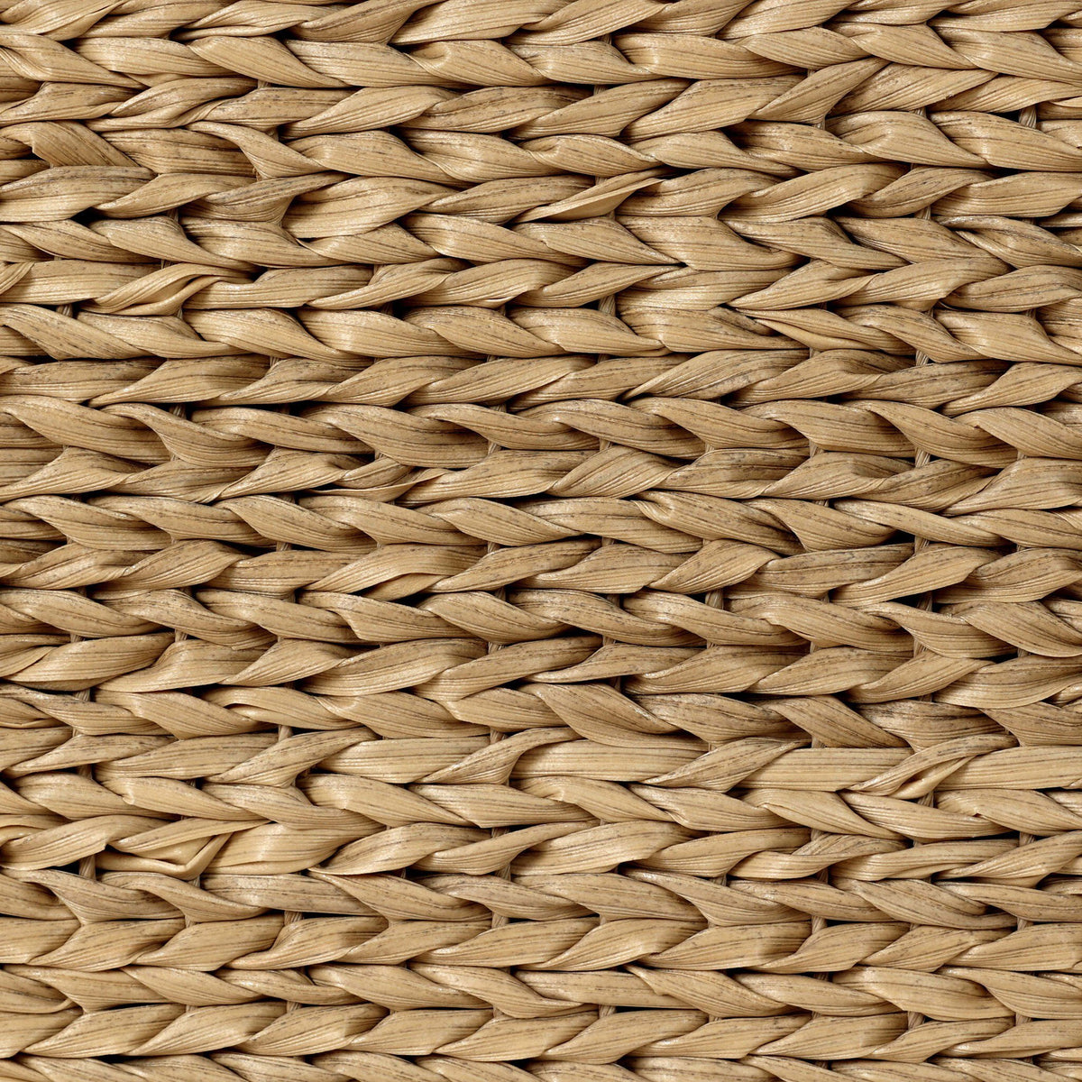 Atwood Outdoor Dining Chair