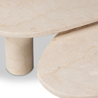 Zuri Nesting Coffee Table Set